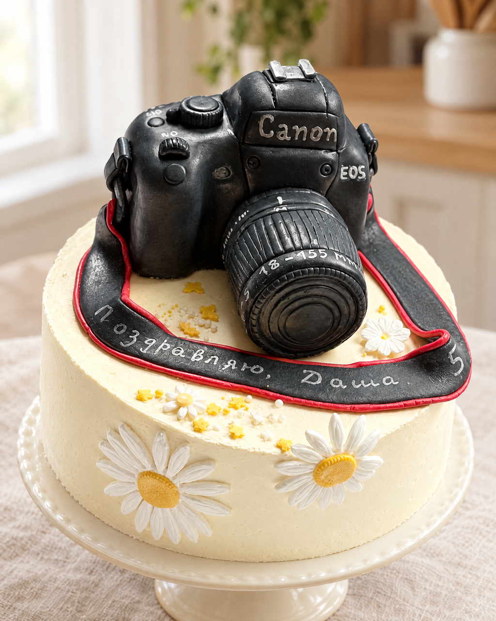 Camera Cake by La Sura Bakery